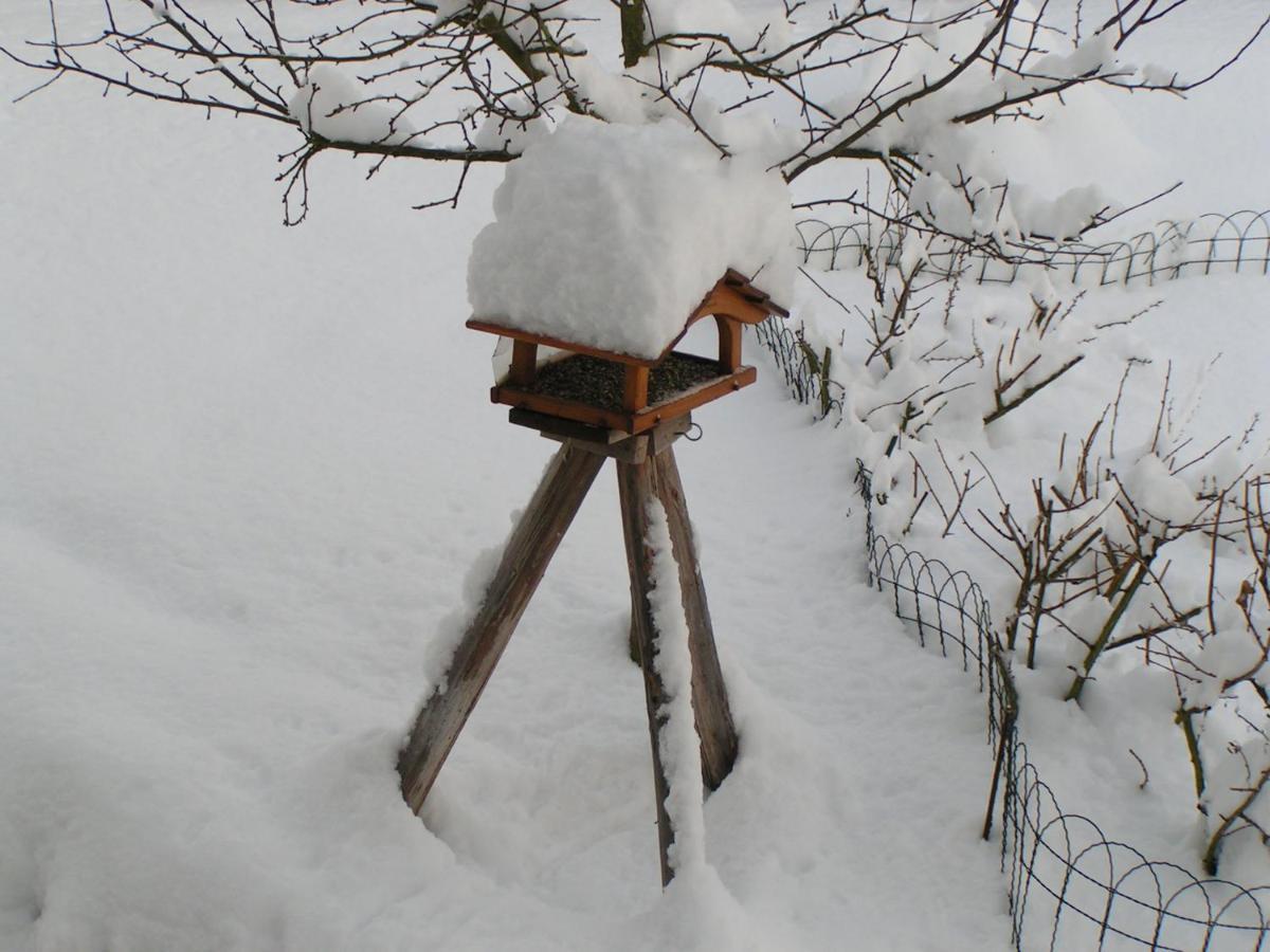 Fewo Talula - Sauerland Mit Hund Medebach Ngoại thất bức ảnh
