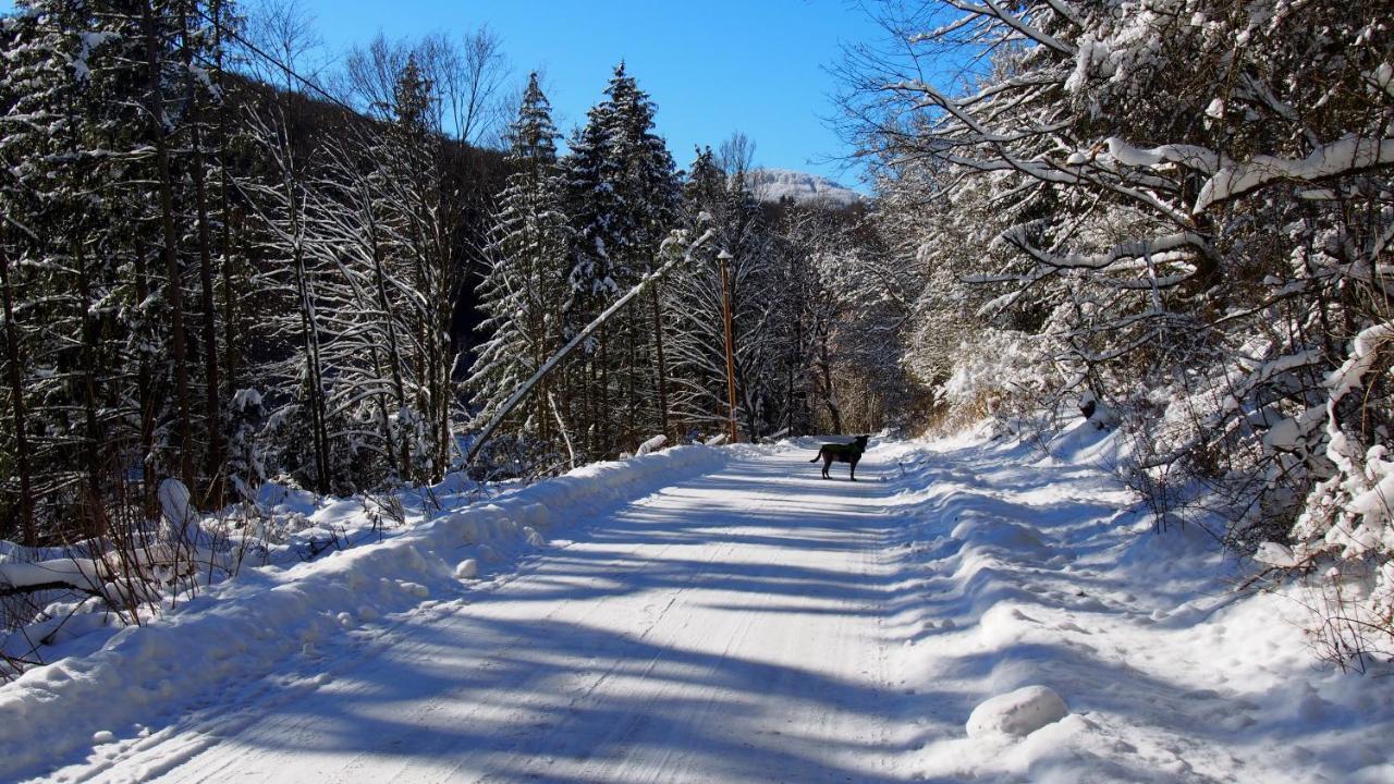 Fewo Talula - Sauerland Mit Hund Apartment Medebach Ngoại thất bức ảnh