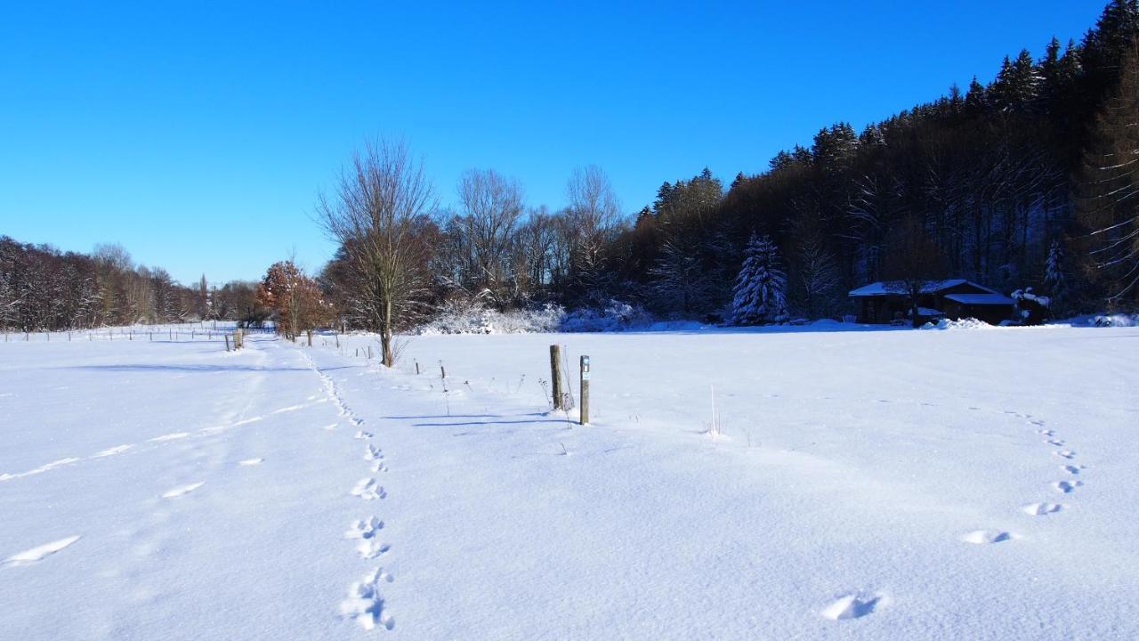 Fewo Talula - Sauerland Mit Hund Apartment Medebach Ngoại thất bức ảnh