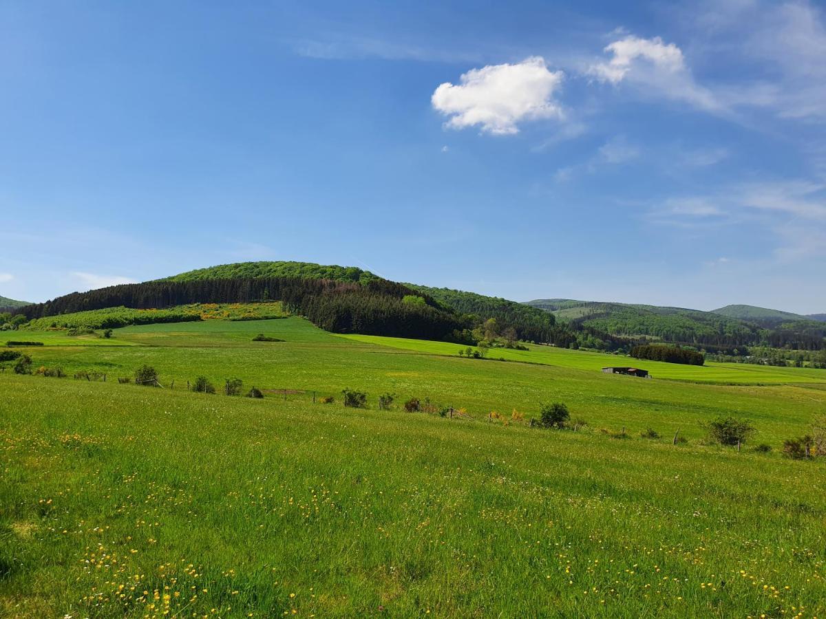 Fewo Talula - Sauerland Mit Hund Medebach Ngoại thất bức ảnh