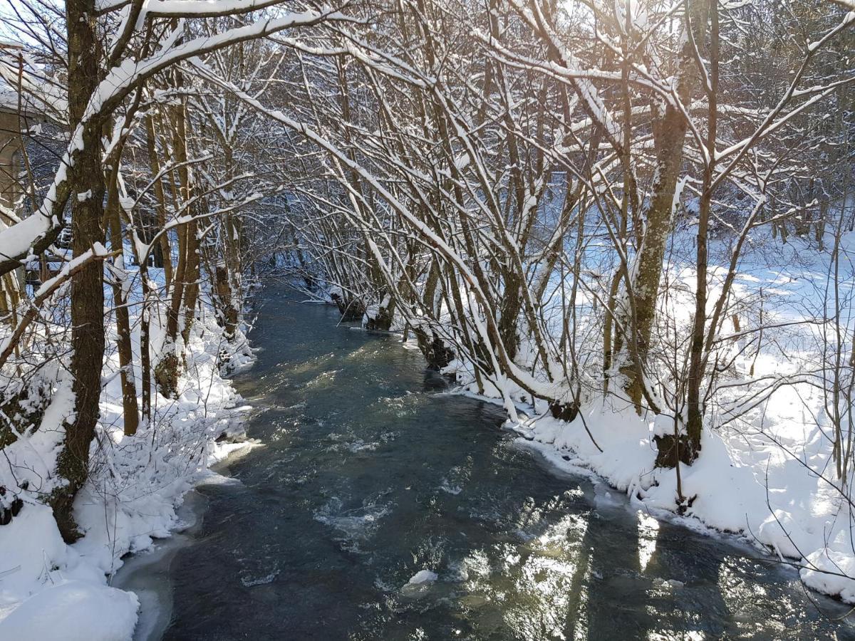 Fewo Talula - Sauerland Mit Hund Medebach Ngoại thất bức ảnh