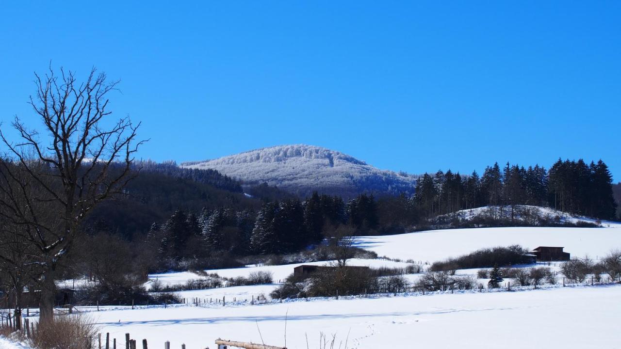 Fewo Talula - Sauerland Mit Hund Medebach Ngoại thất bức ảnh