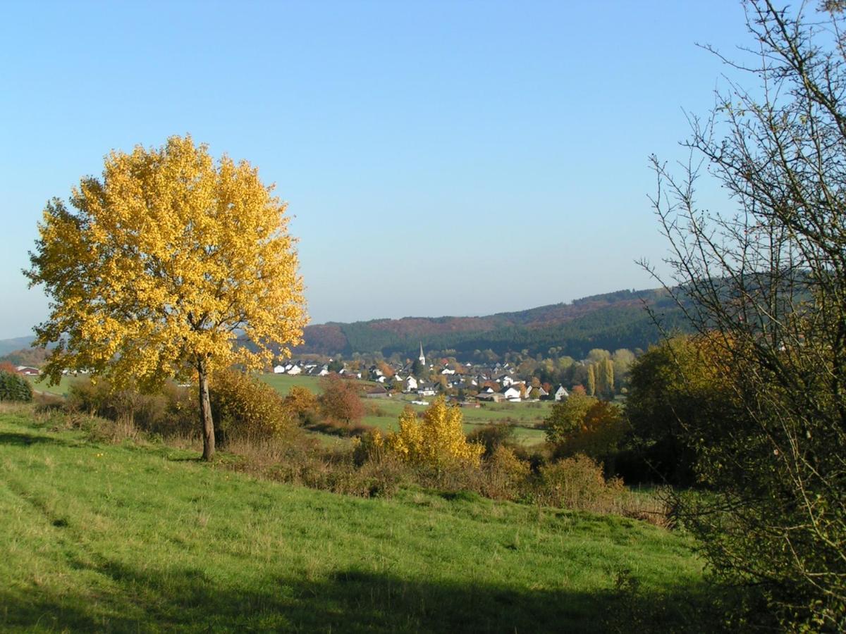 Fewo Talula - Sauerland Mit Hund Apartment Medebach Ngoại thất bức ảnh